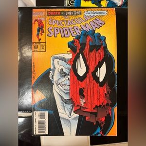 Spectacular Spider-Man #206/ "Death by Tombstone, The Conclusion!